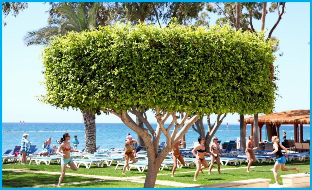Poseidonia Beach Hotel Image 18
