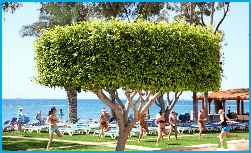 Poseidonia Beach Hotel image 18